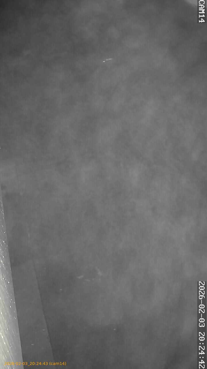 thumbnail_20260203202443