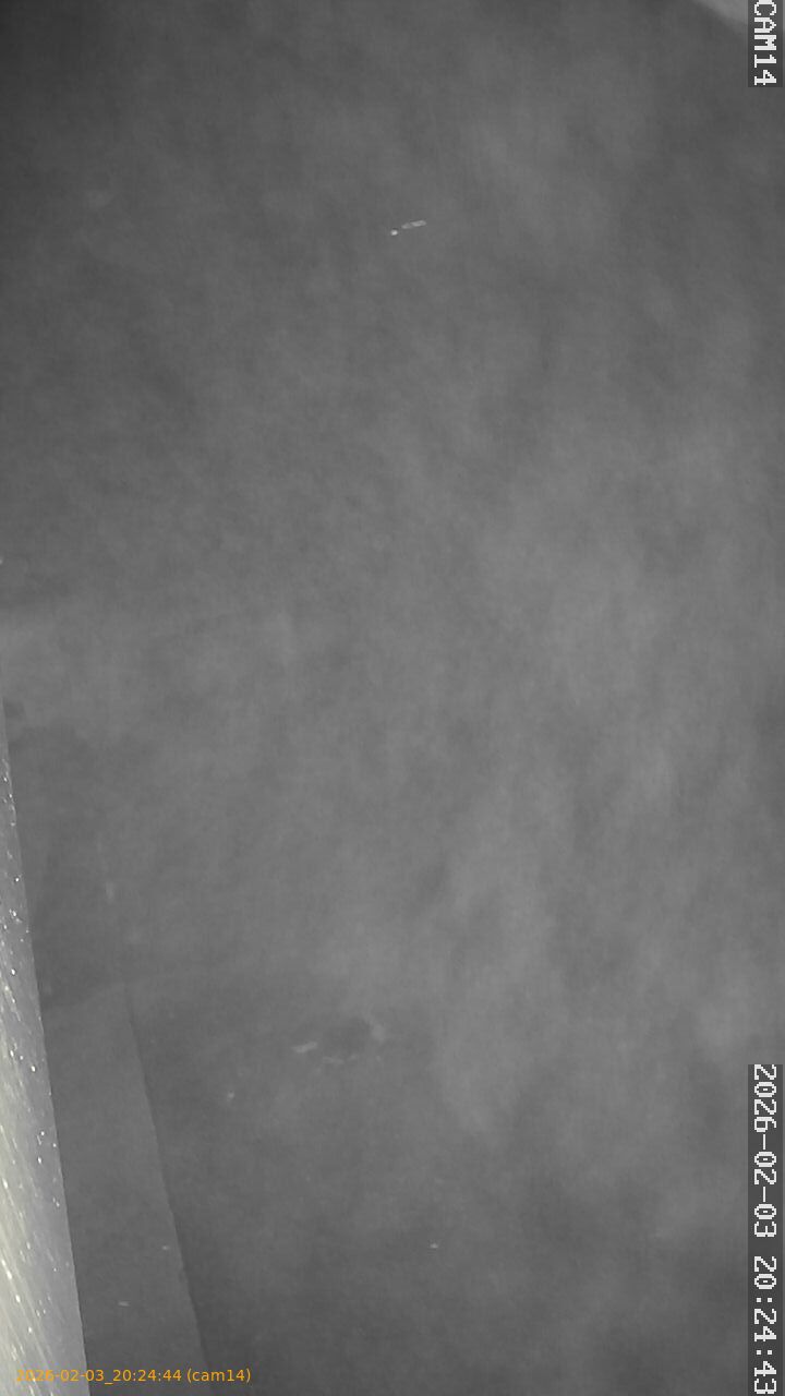 thumbnail_20260203202444