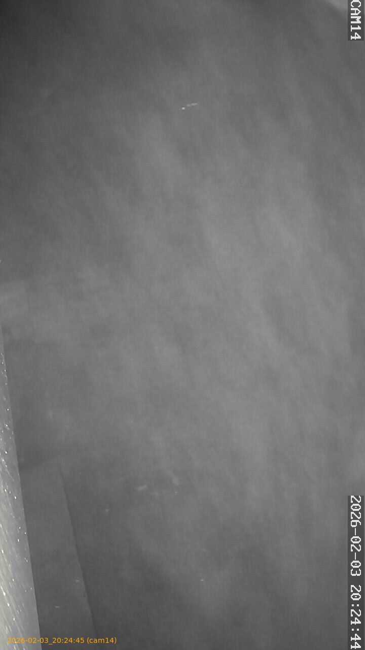 thumbnail_20260203202445