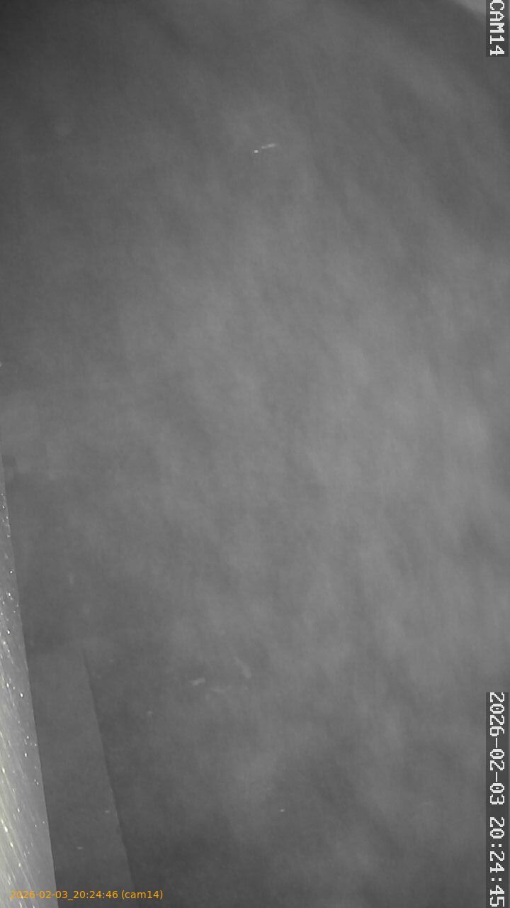 thumbnail_20260203202446