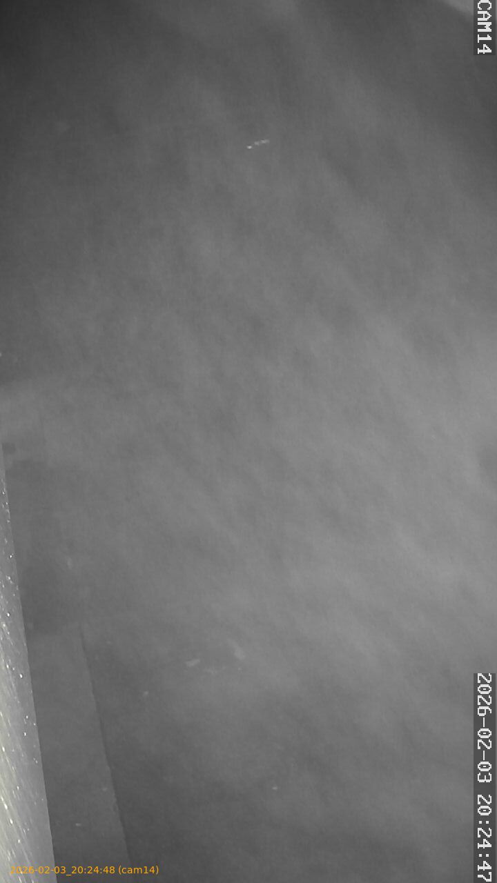 thumbnail_20260203202448