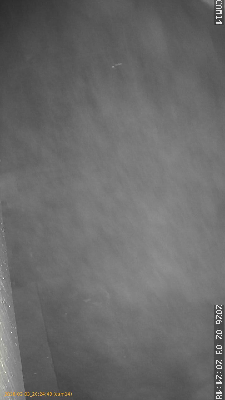 thumbnail_20260203202449