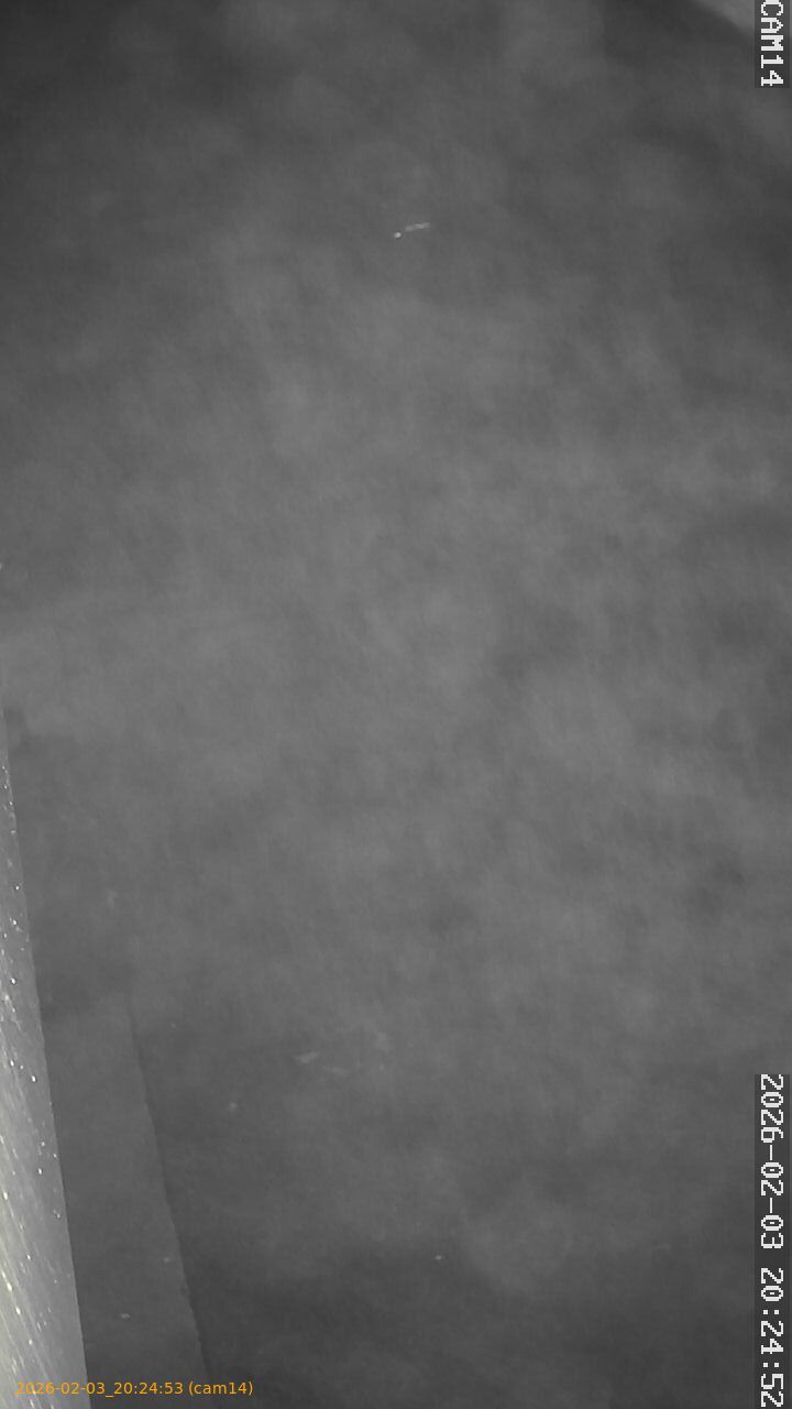 thumbnail_20260203202453