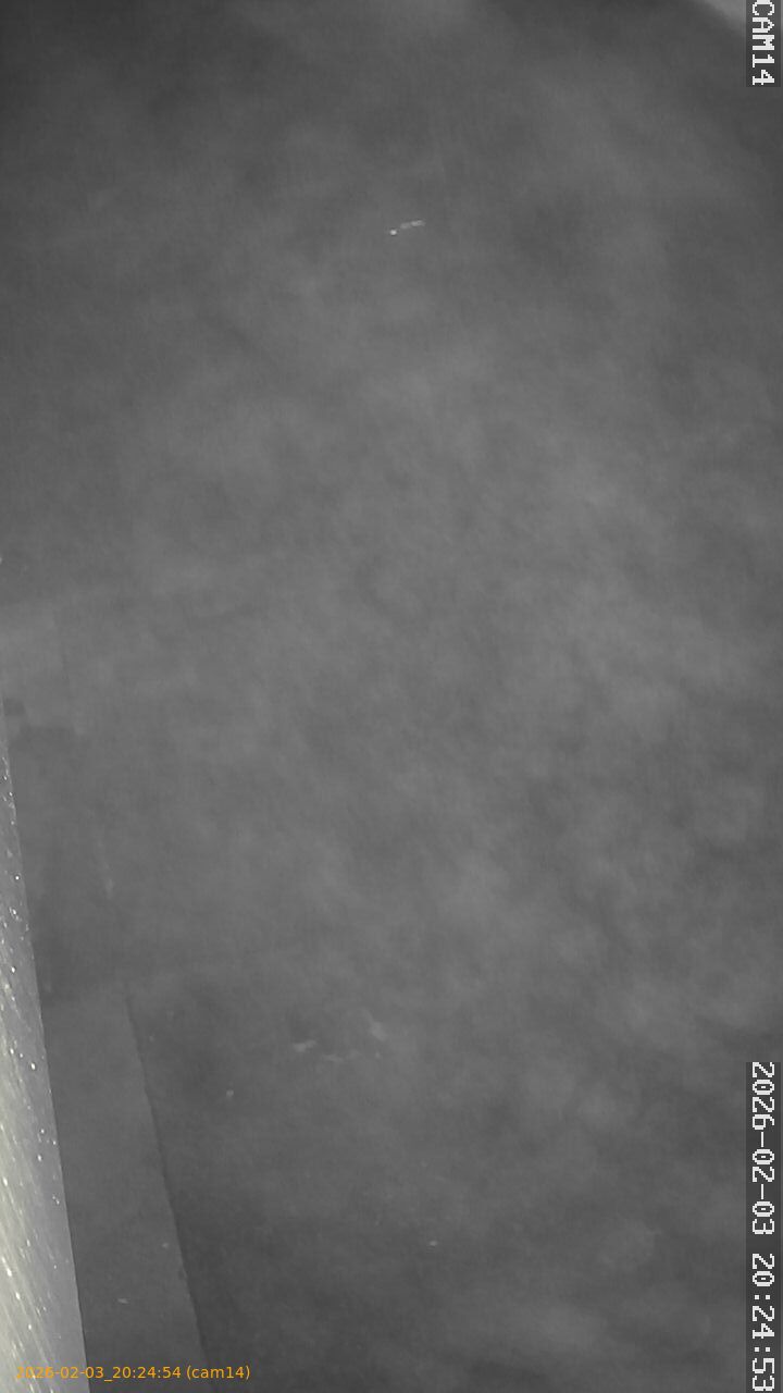 thumbnail_20260203202454