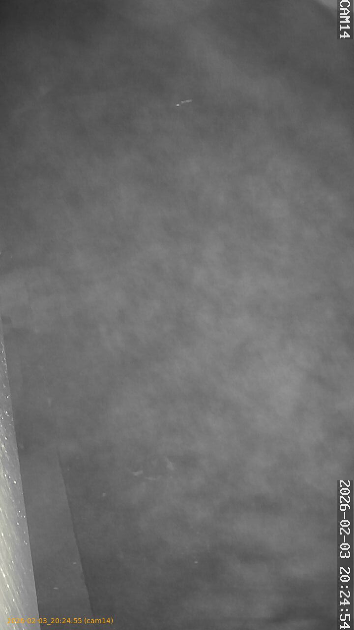 thumbnail_20260203202455