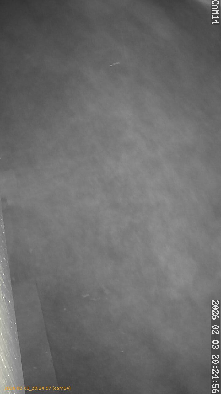 thumbnail_20260203202457