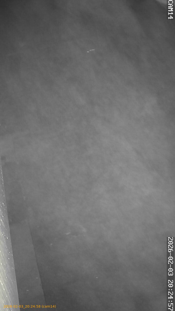 thumbnail_20260203202458