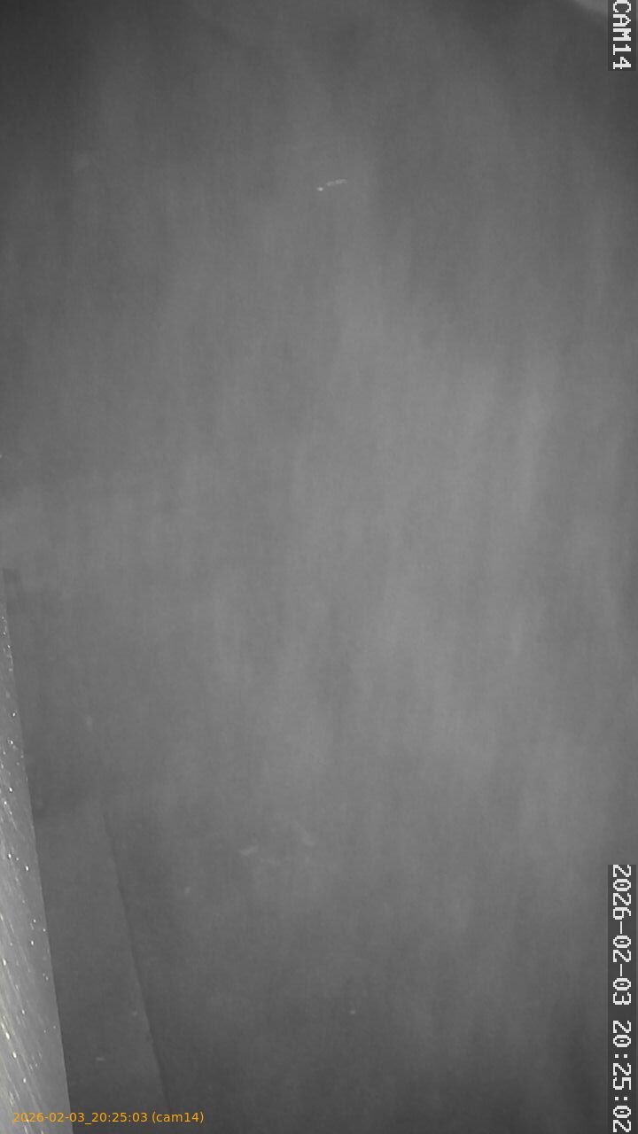 thumbnail_20260203202503