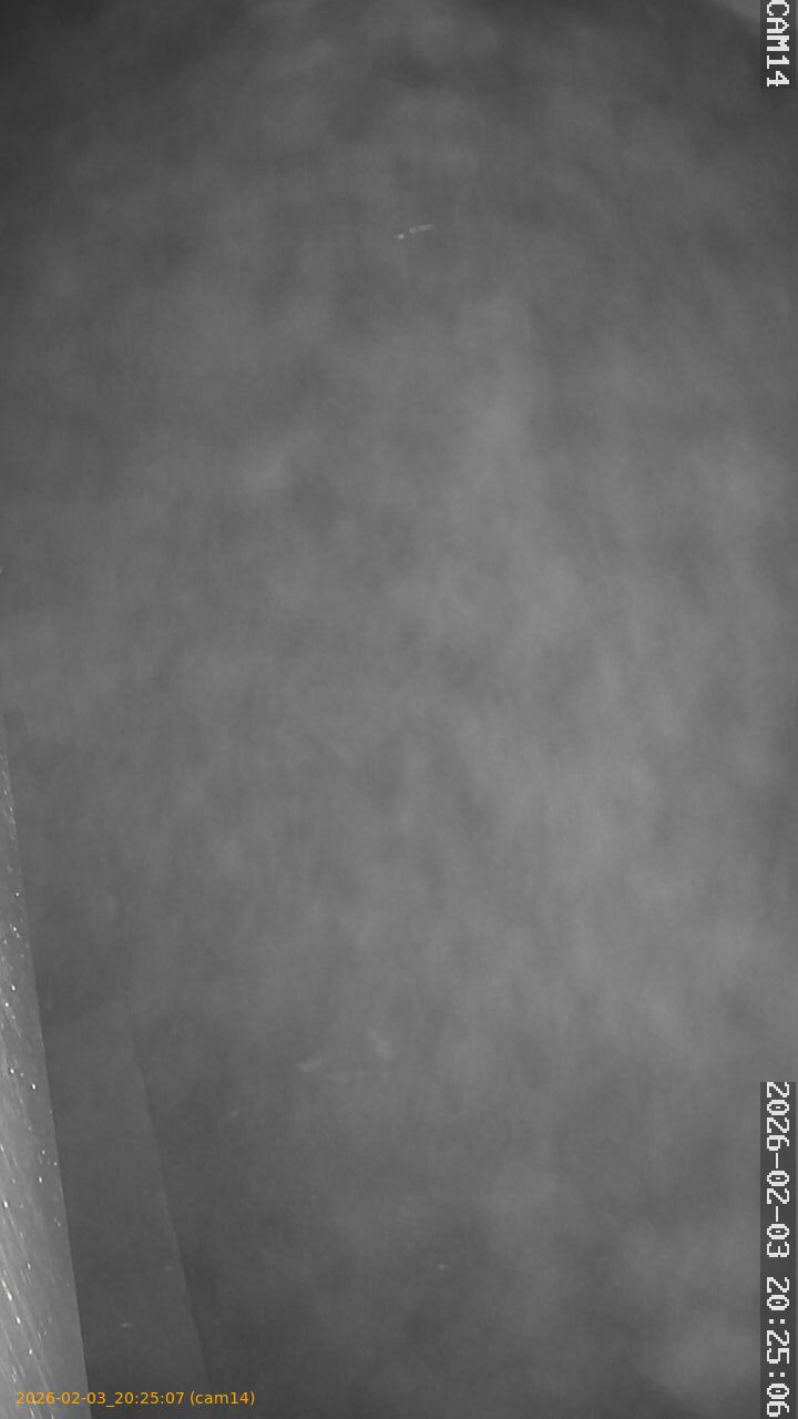 thumbnail_20260203202507