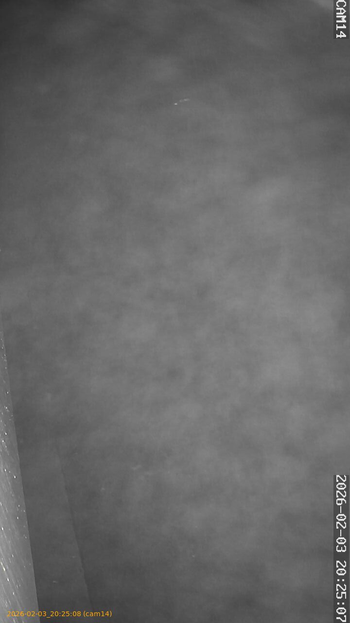 thumbnail_20260203202508