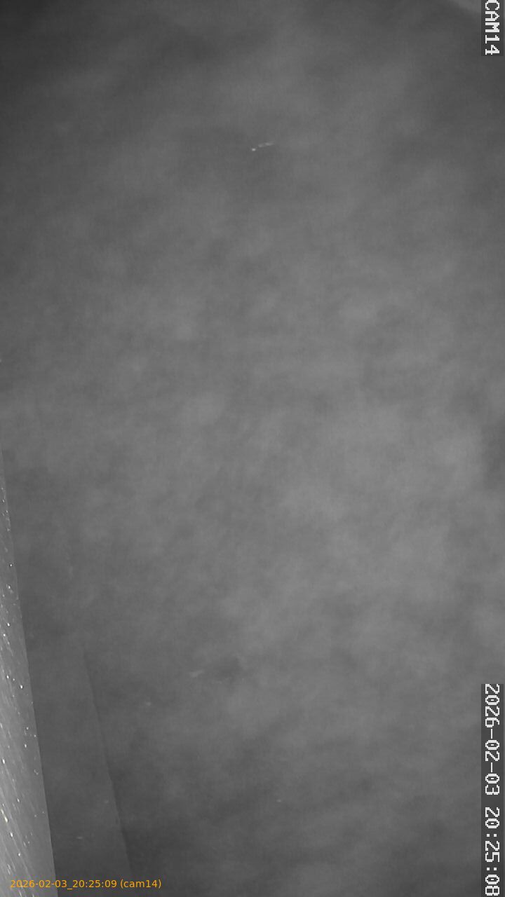 thumbnail_20260203202509