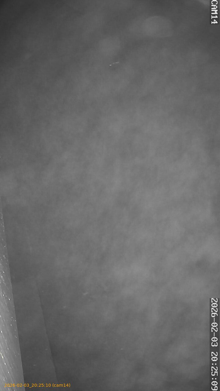 thumbnail_20260203202510