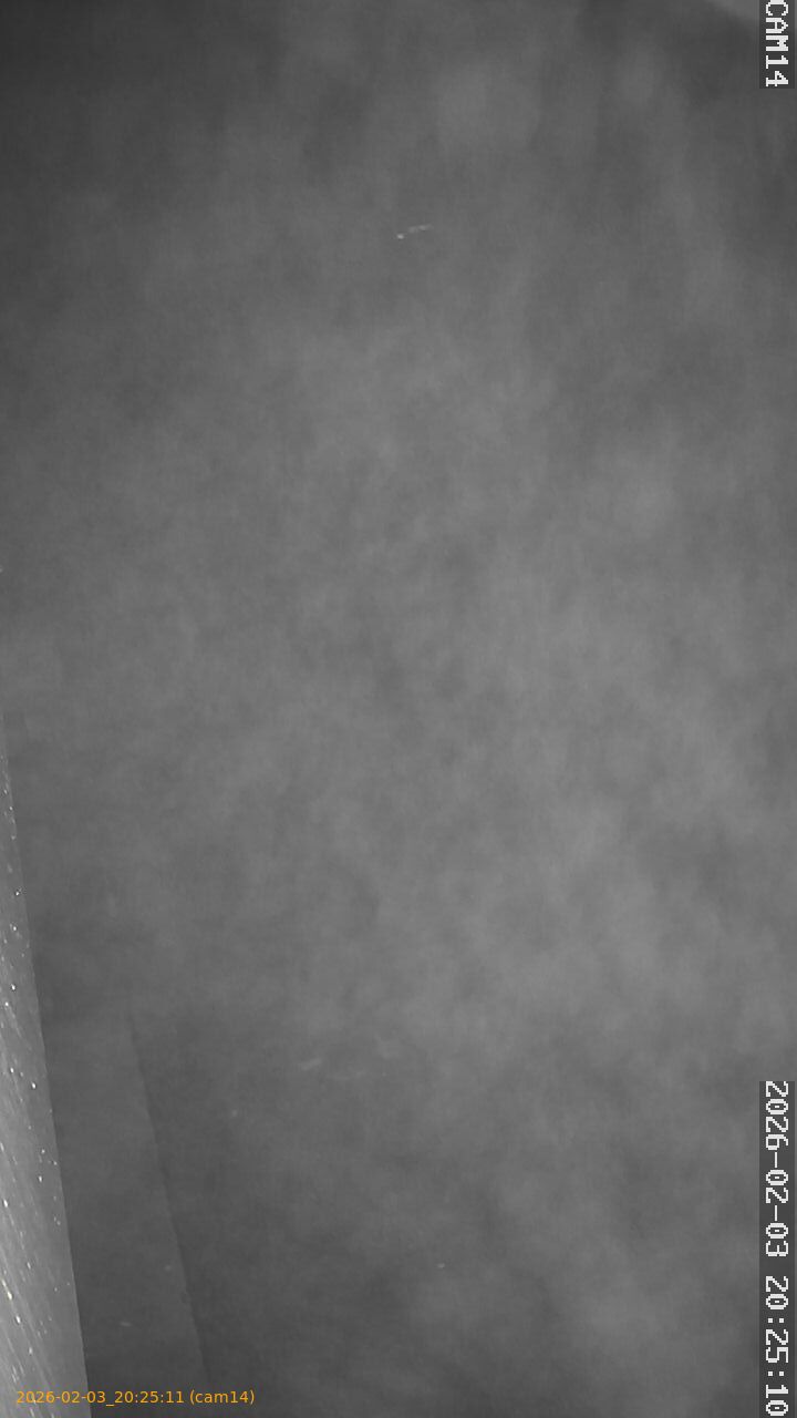 thumbnail_20260203202511