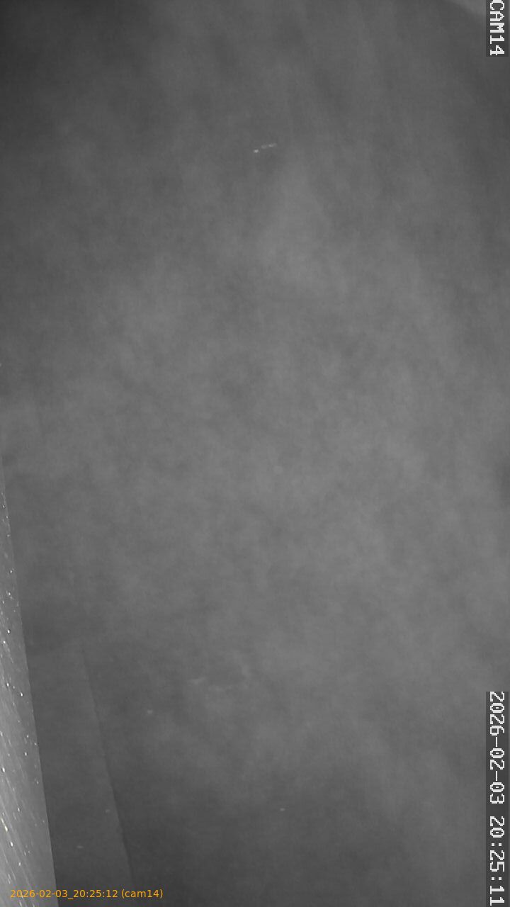 thumbnail_20260203202512