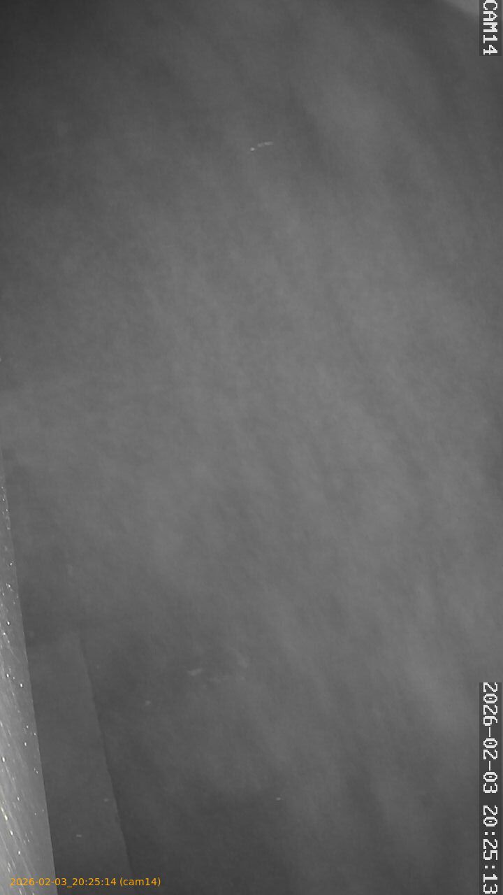 thumbnail_20260203202514