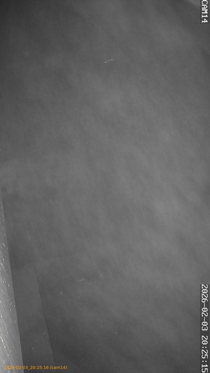 thumbnail_20260203202516