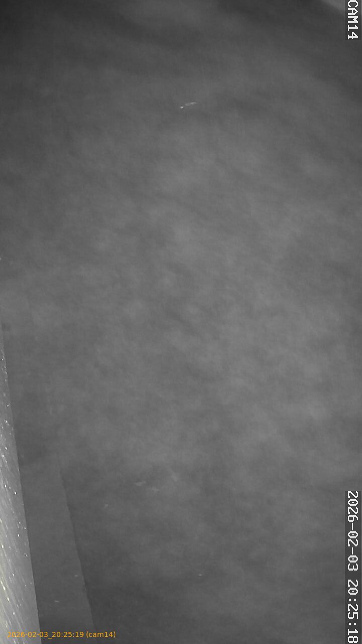 thumbnail_20260203202519