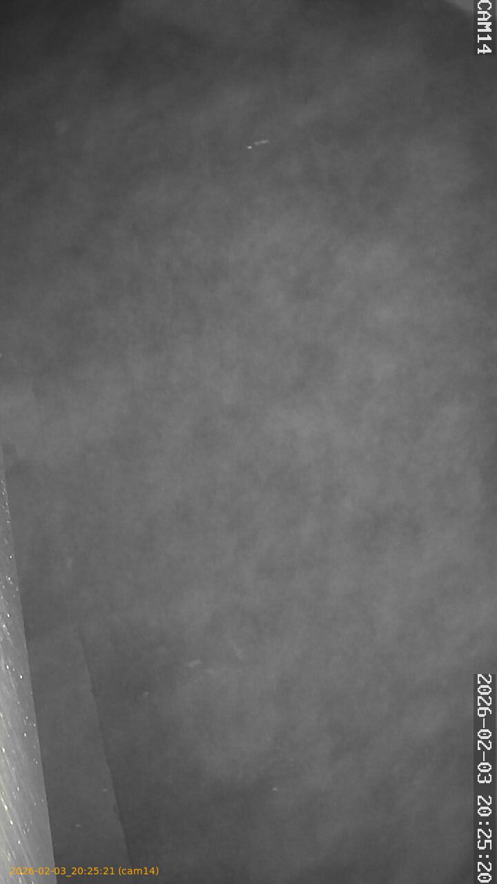 thumbnail_20260203202521