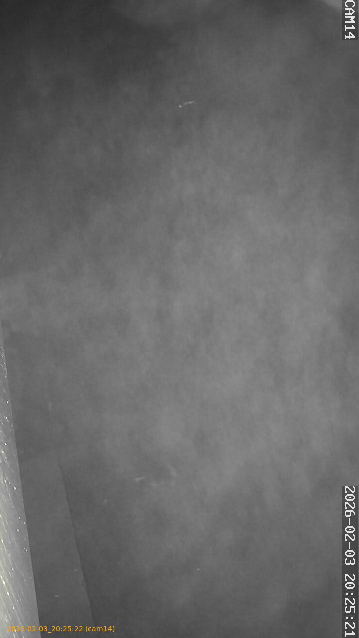 thumbnail_20260203202522