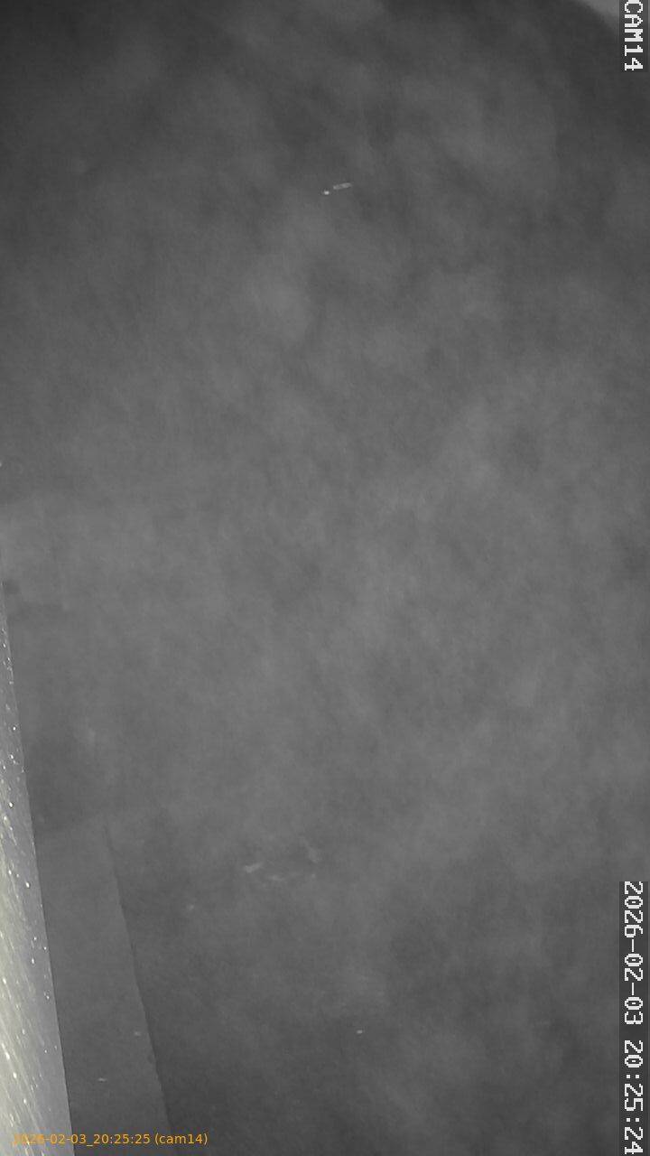 thumbnail_20260203202525