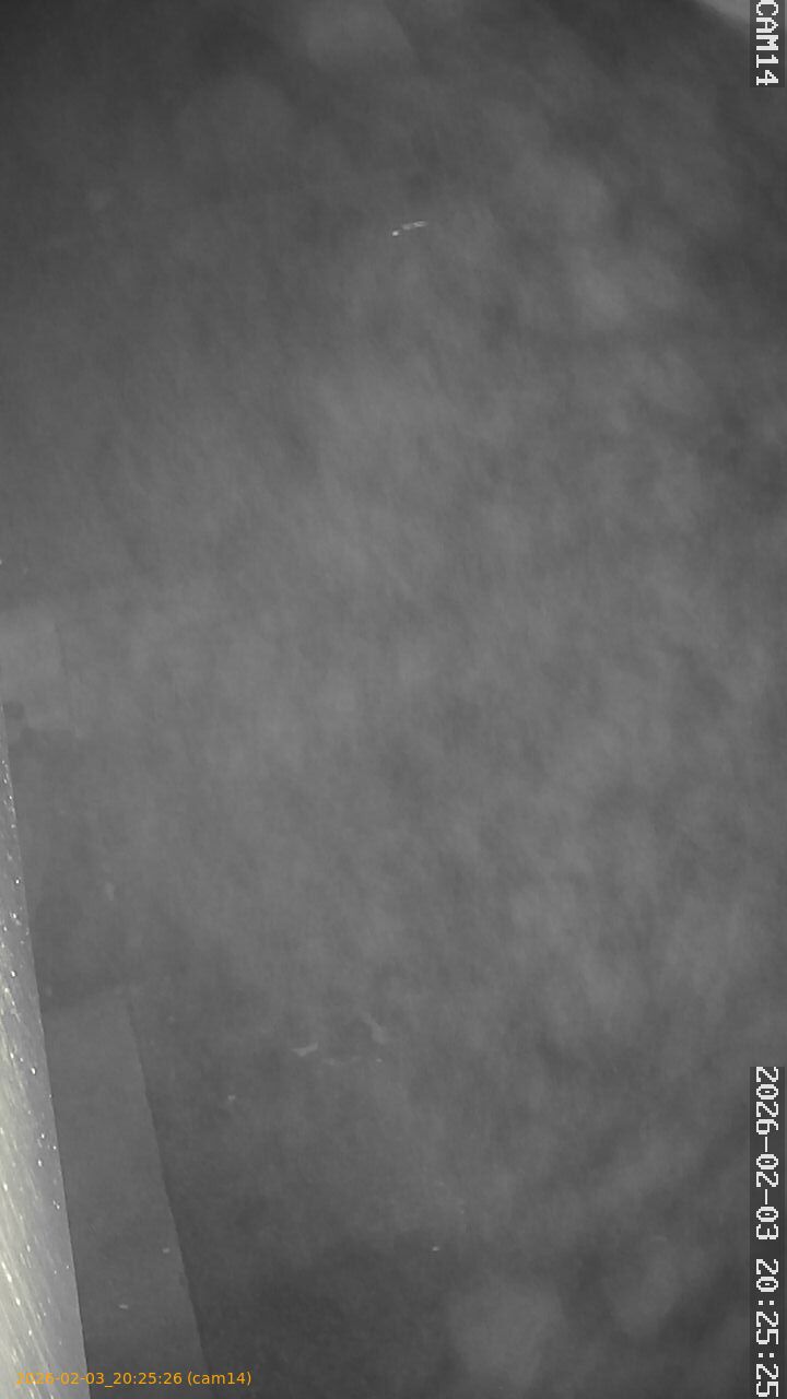 thumbnail_20260203202526