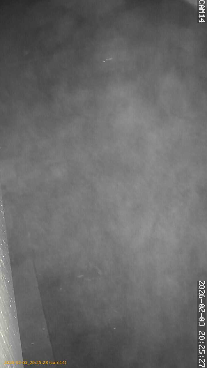 thumbnail_20260203202528