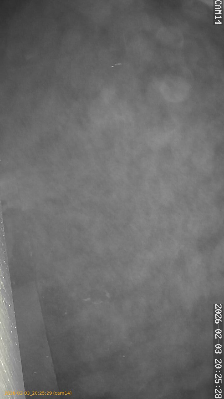 thumbnail_20260203202529