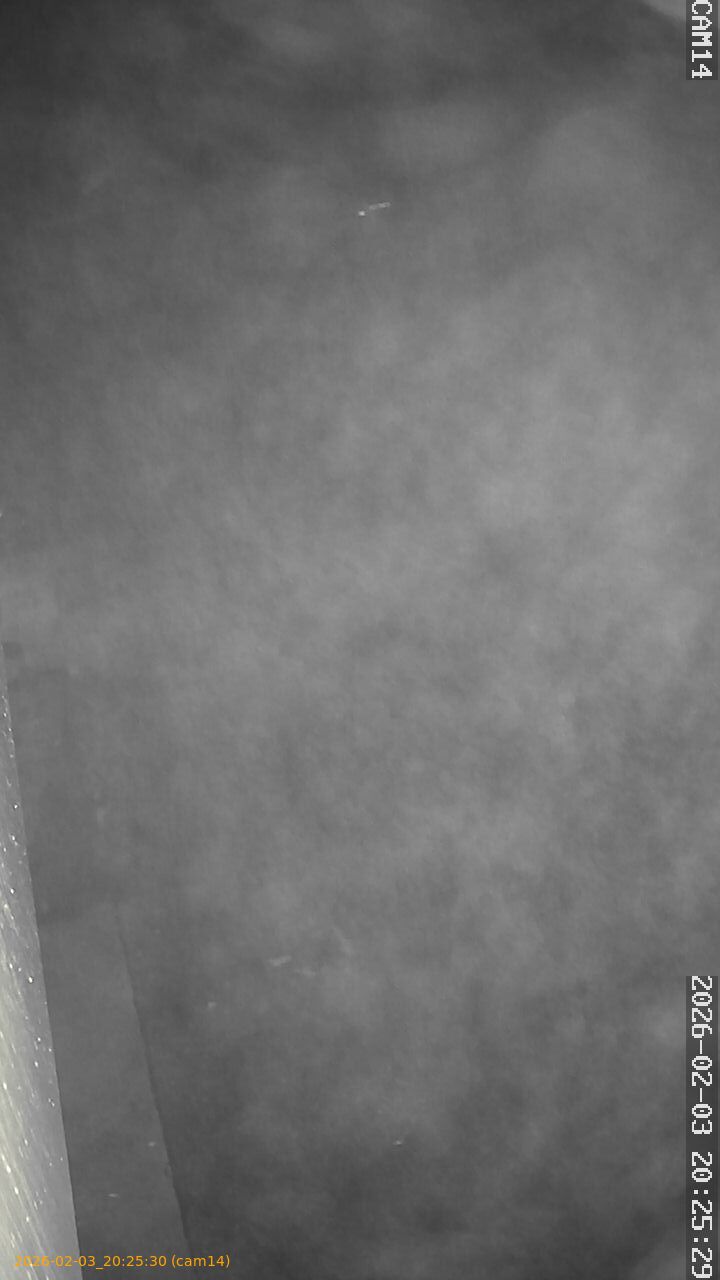 thumbnail_20260203202530