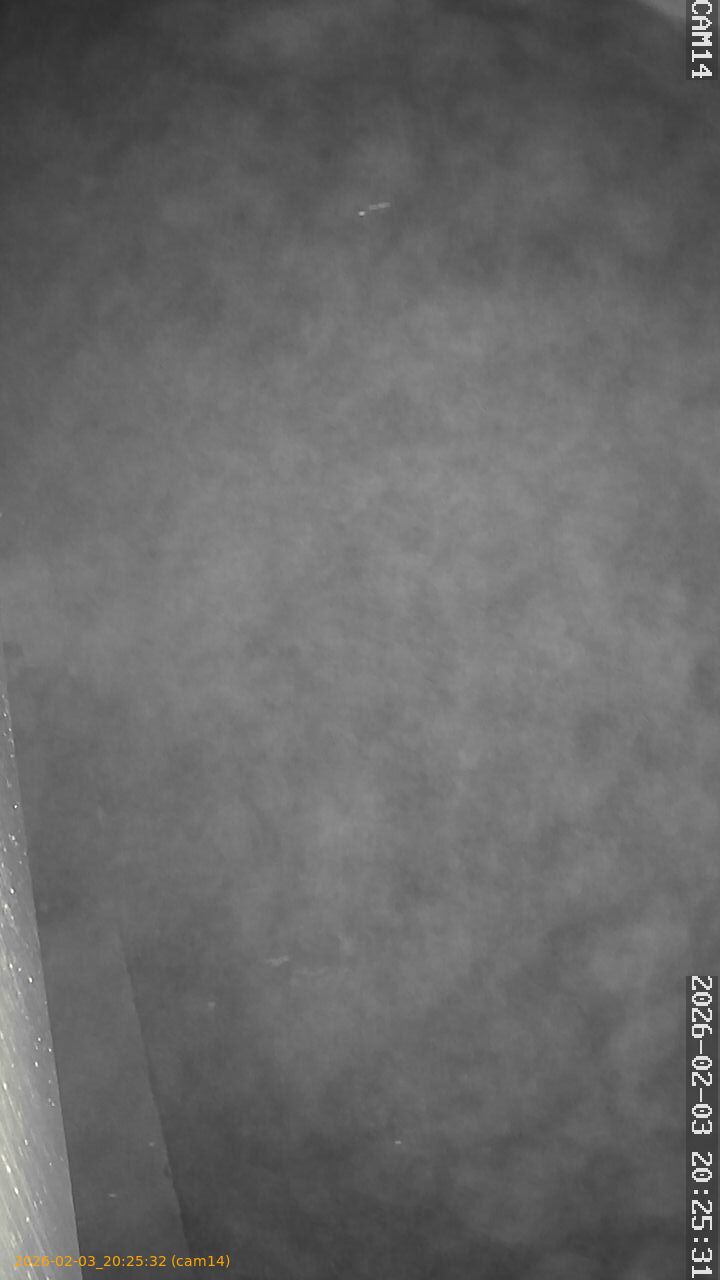 thumbnail_20260203202532