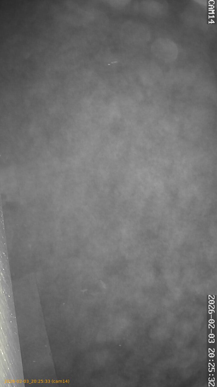 thumbnail_20260203202533