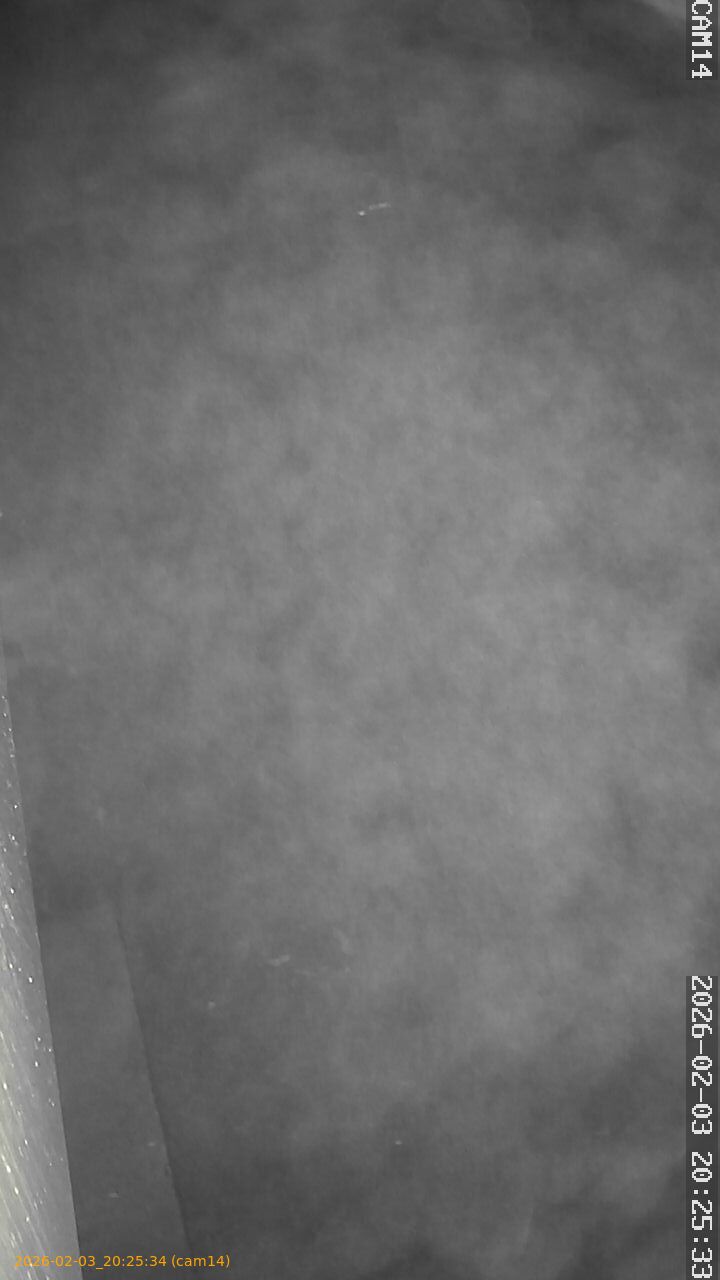 thumbnail_20260203202534