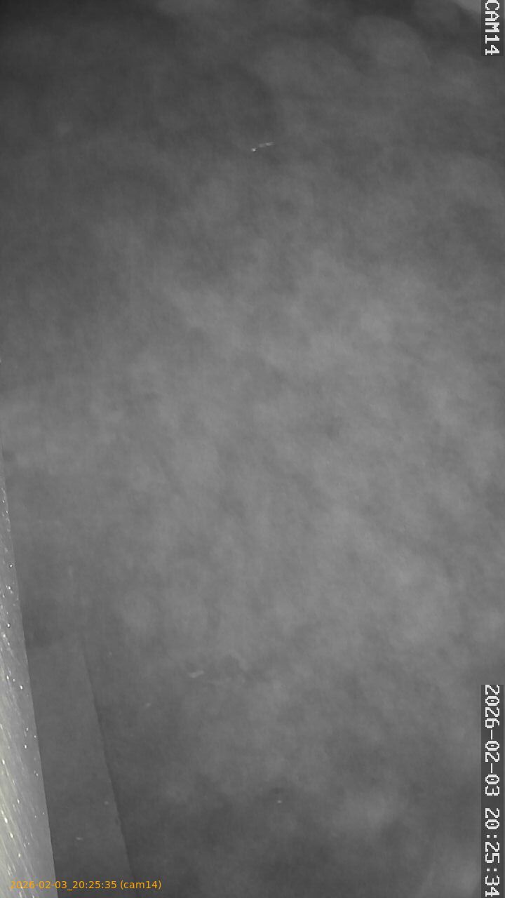 thumbnail_20260203202535