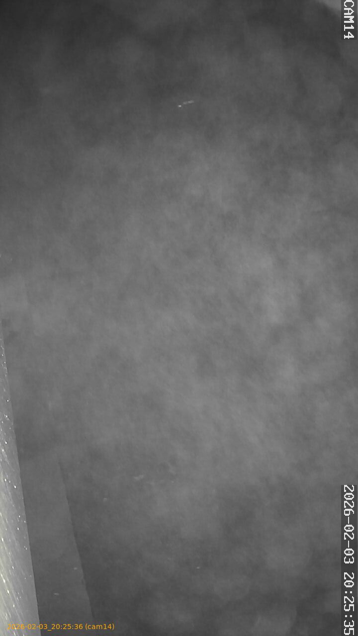 thumbnail_20260203202536