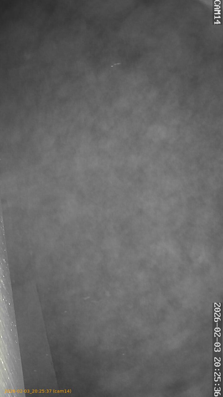 thumbnail_20260203202537