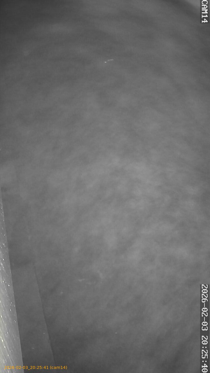 thumbnail_20260203202541