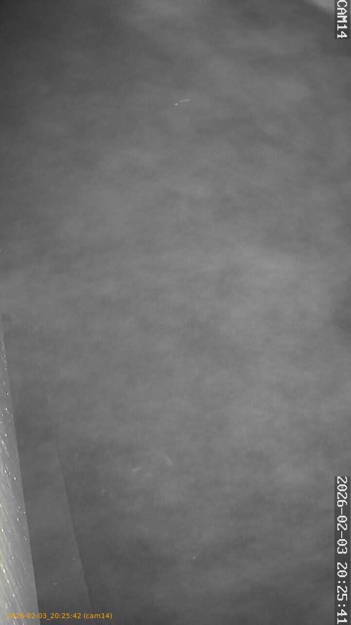 thumbnail_20260203202542