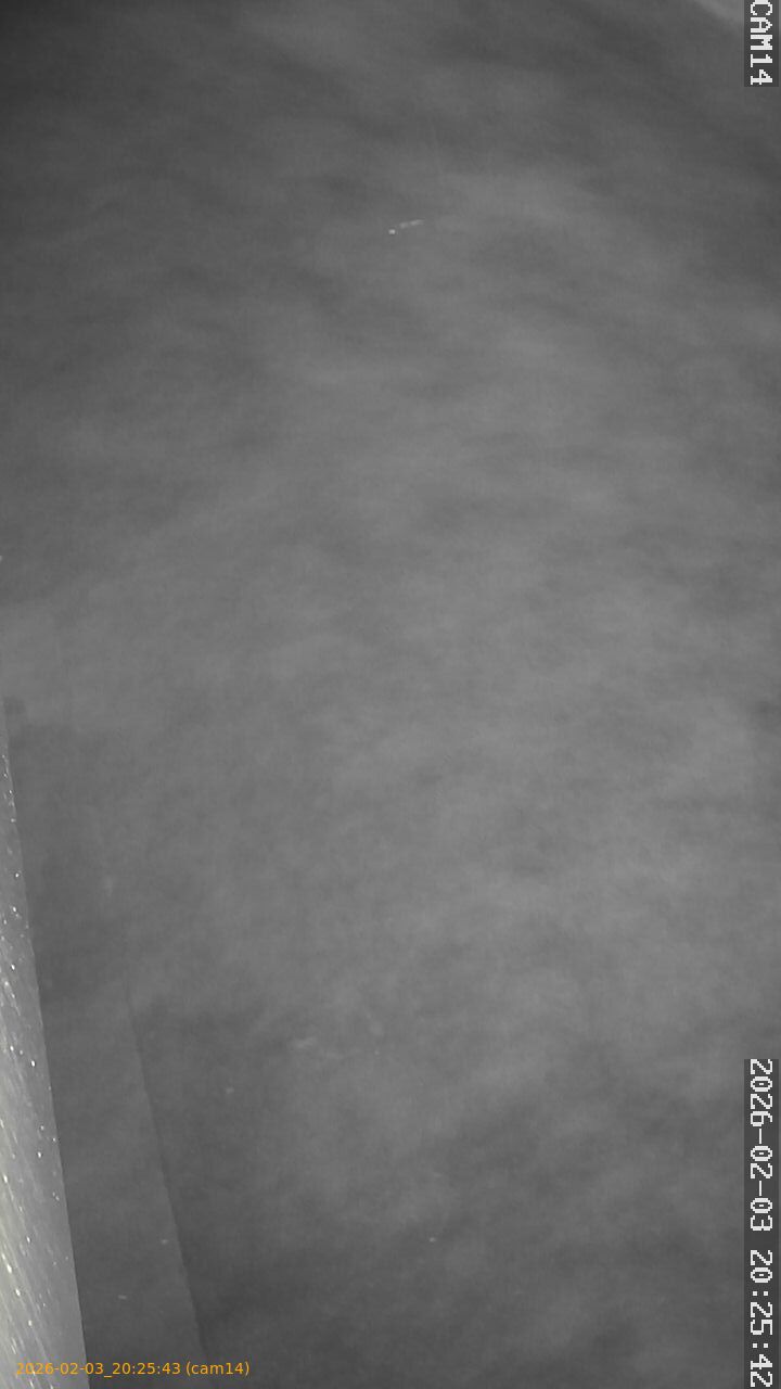 thumbnail_20260203202543