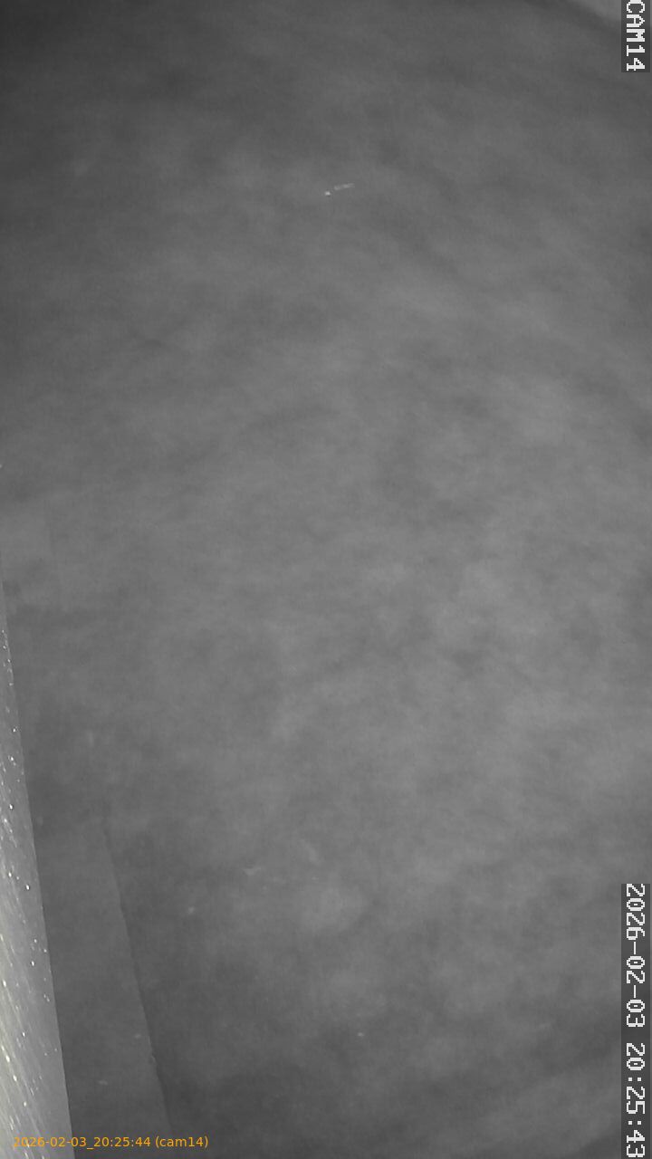 thumbnail_20260203202544