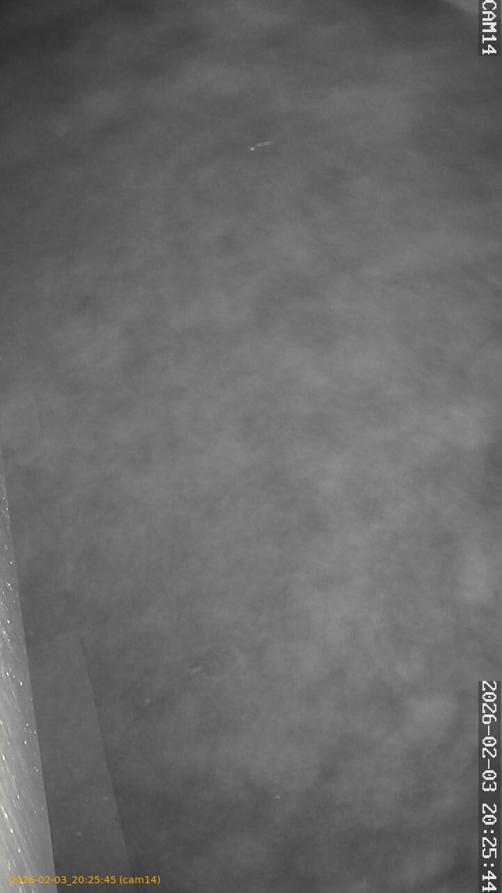 thumbnail_20260203202545