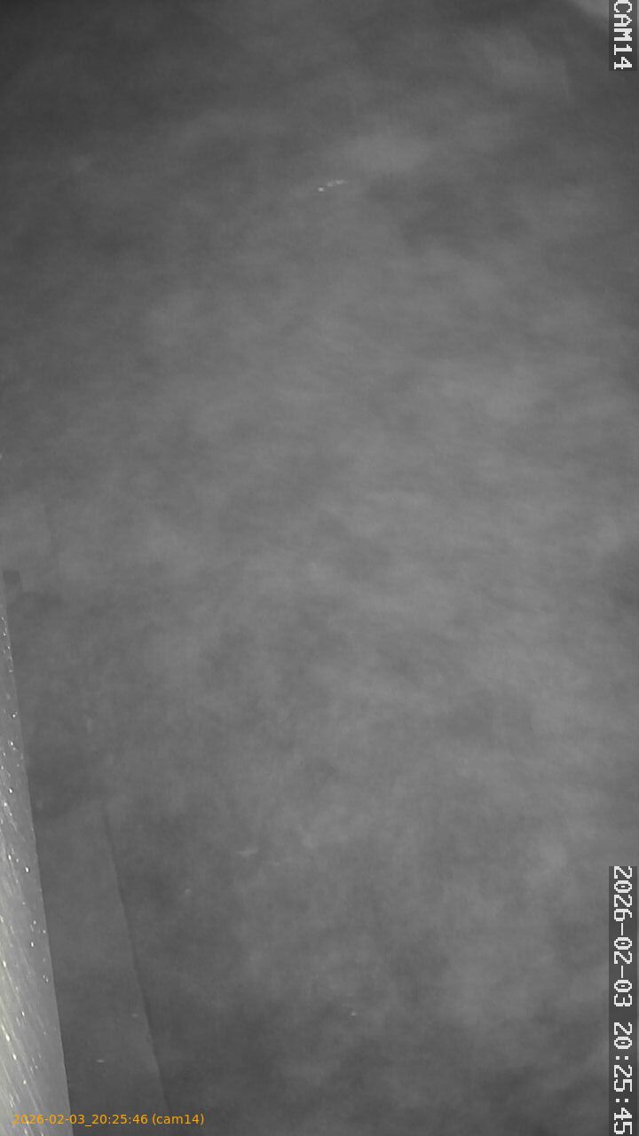 thumbnail_20260203202546