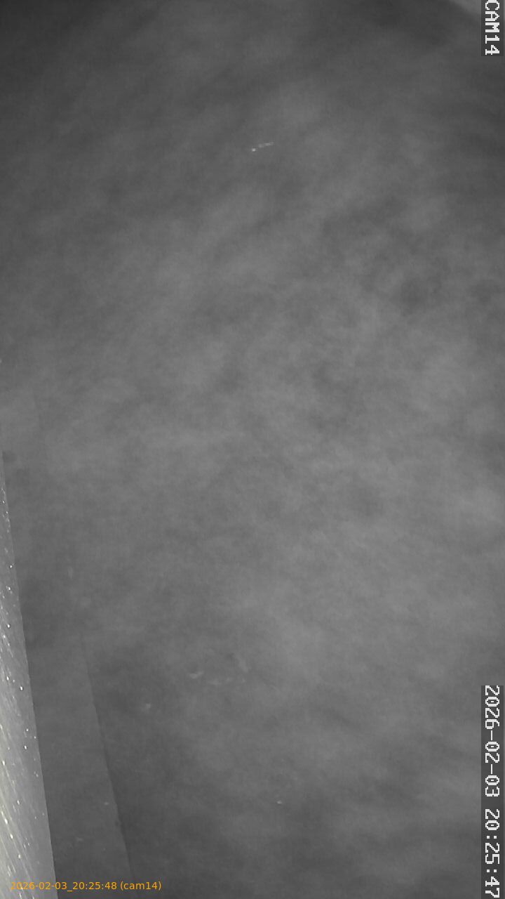 thumbnail_20260203202548