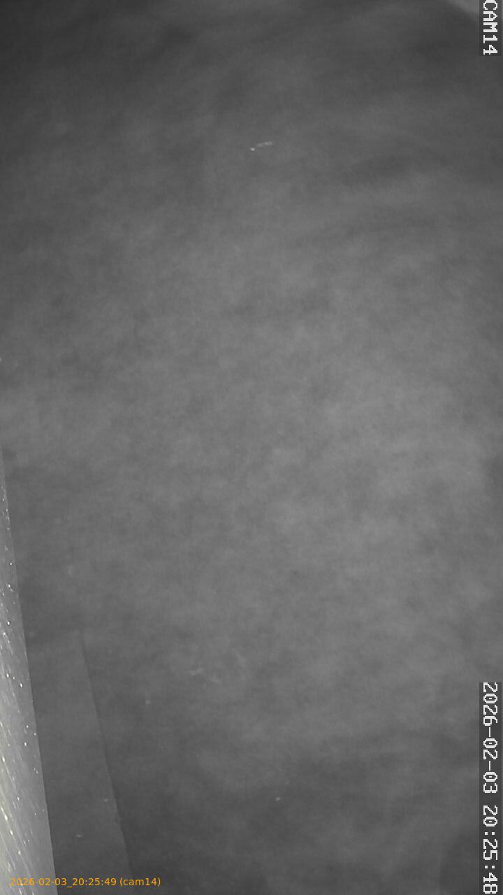 thumbnail_20260203202549