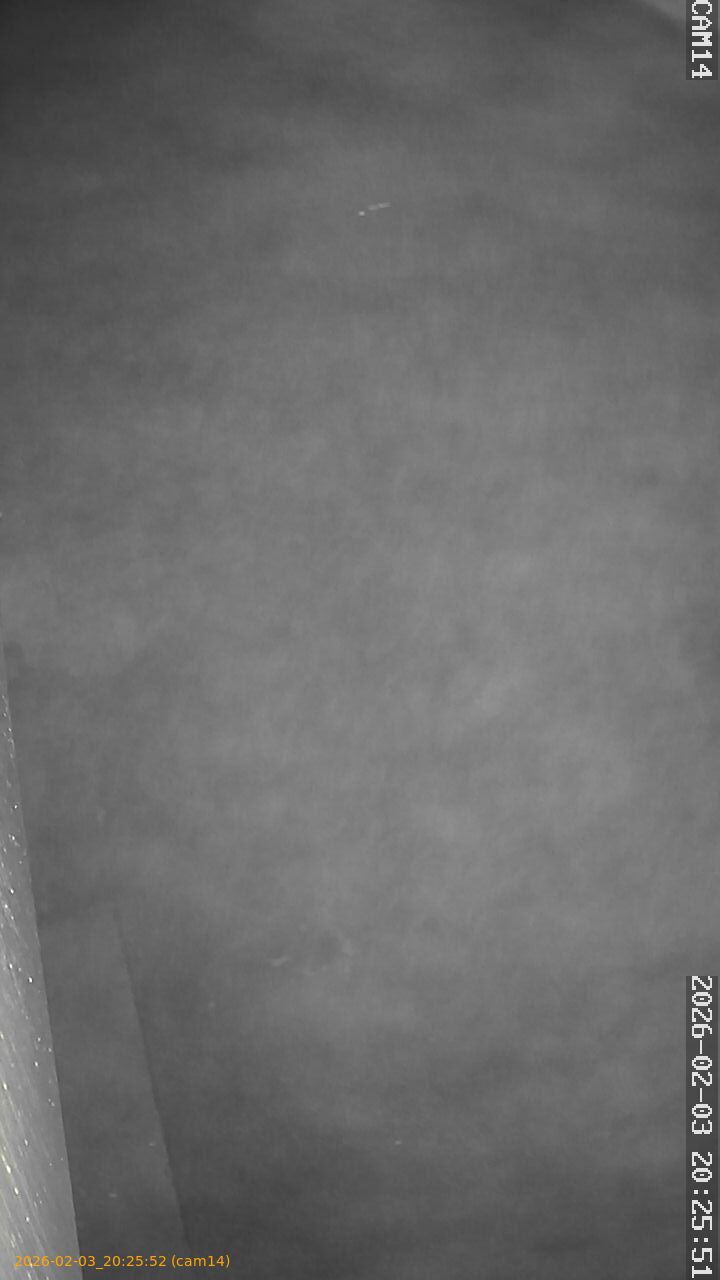 thumbnail_20260203202552