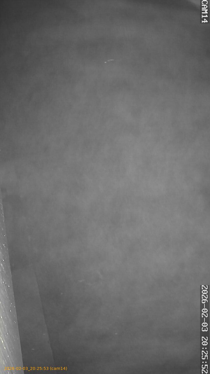 thumbnail_20260203202553