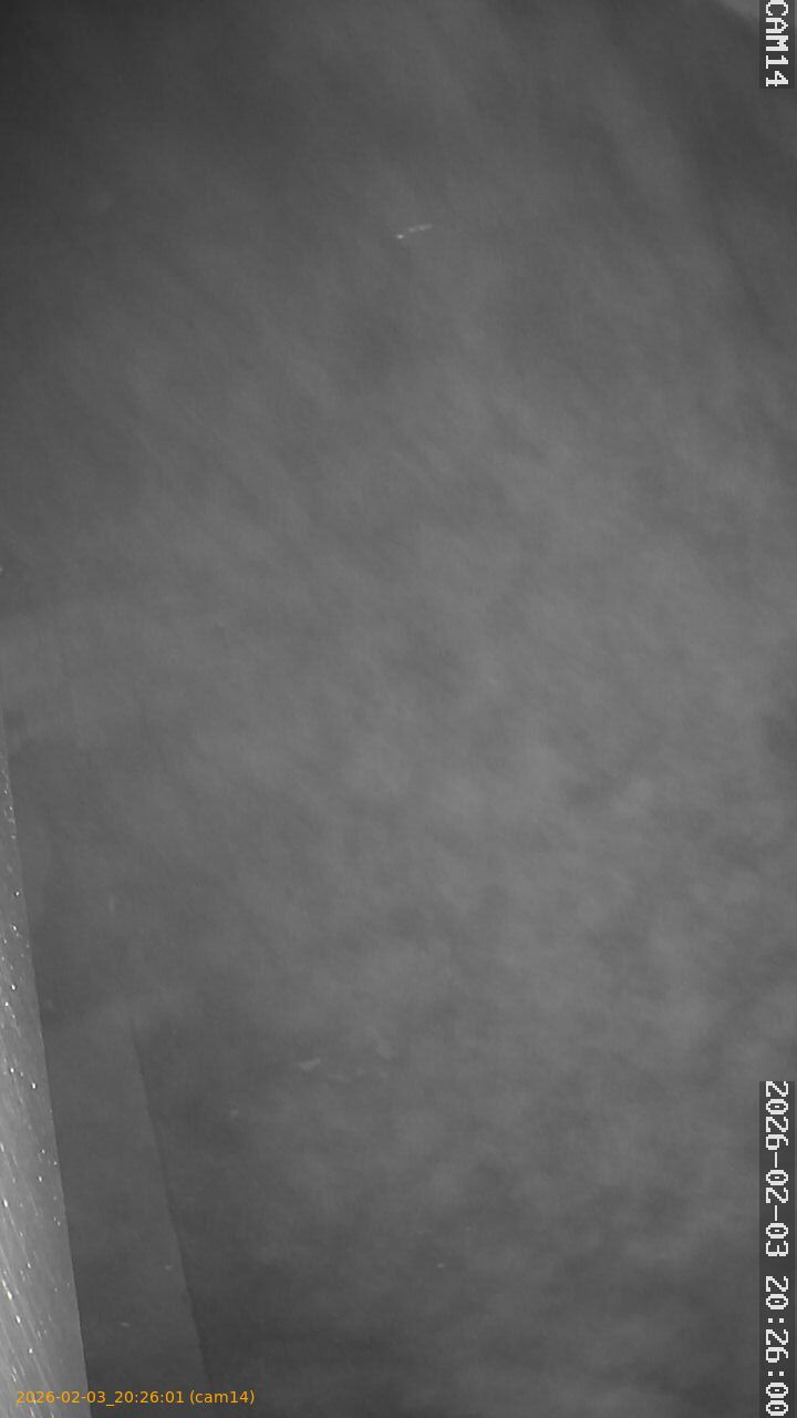 thumbnail_20260203202601