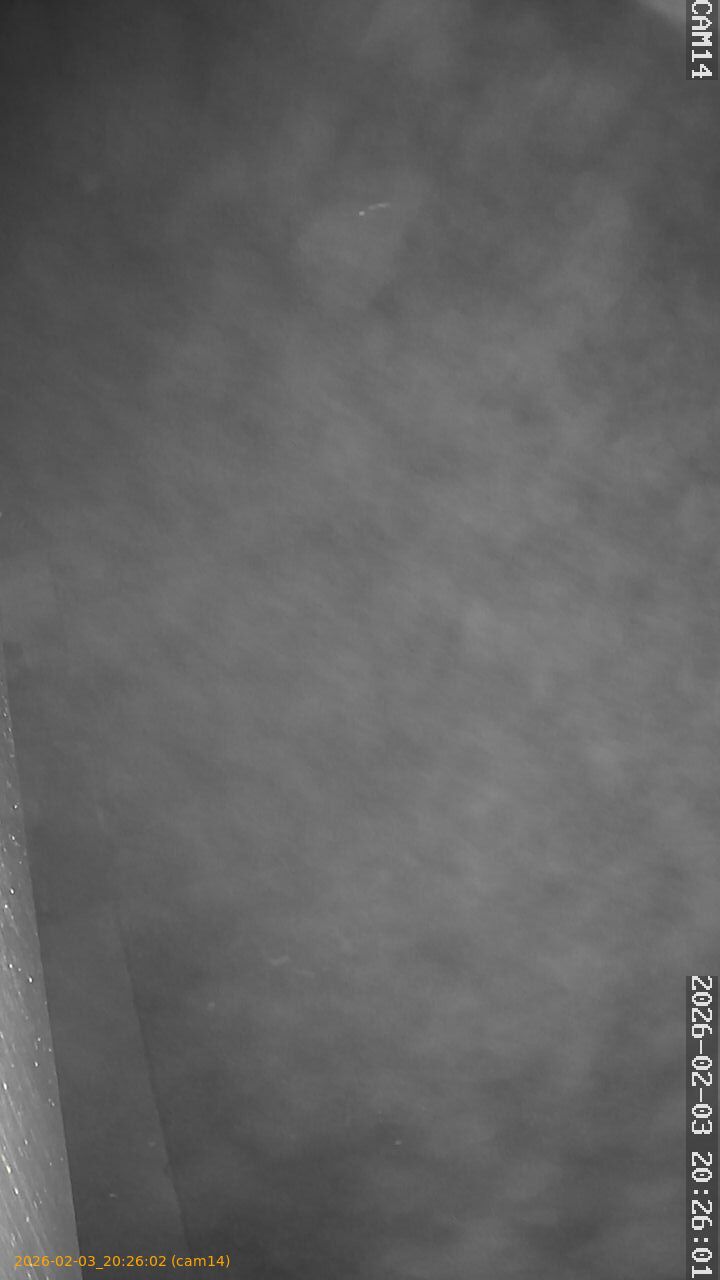 thumbnail_20260203202602