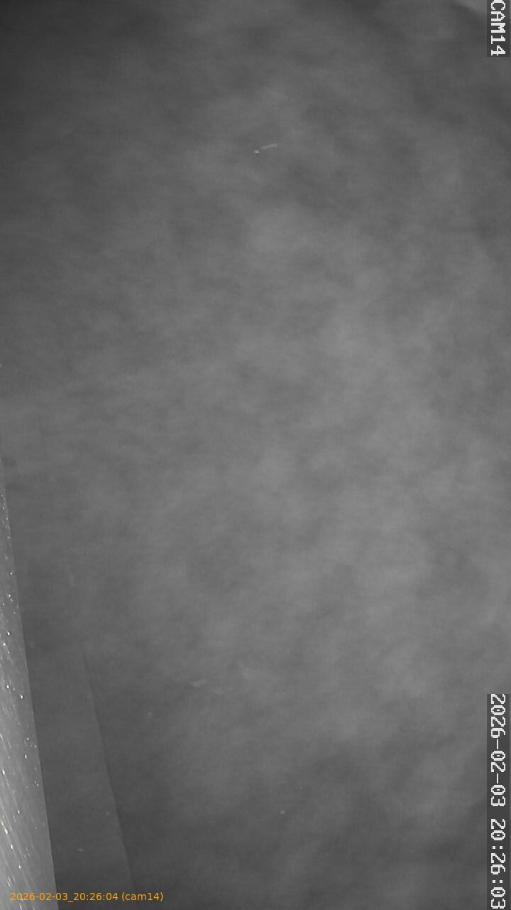 thumbnail_20260203202604