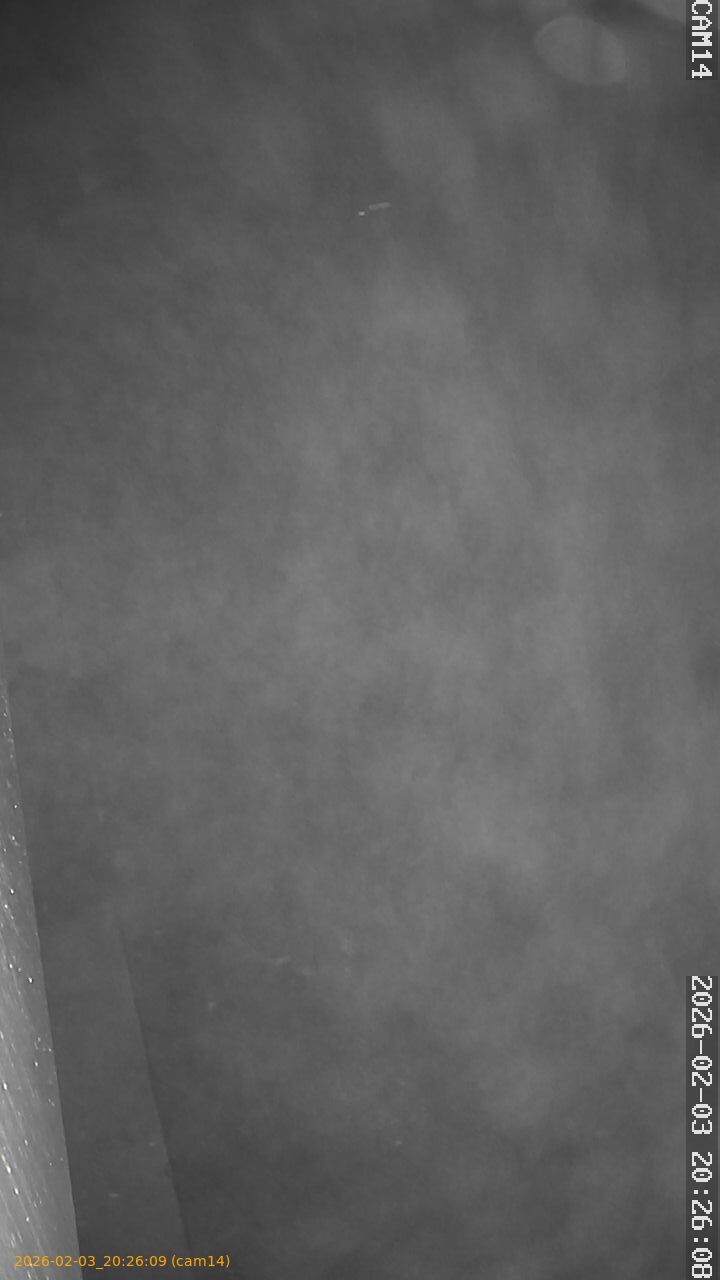 thumbnail_20260203202609