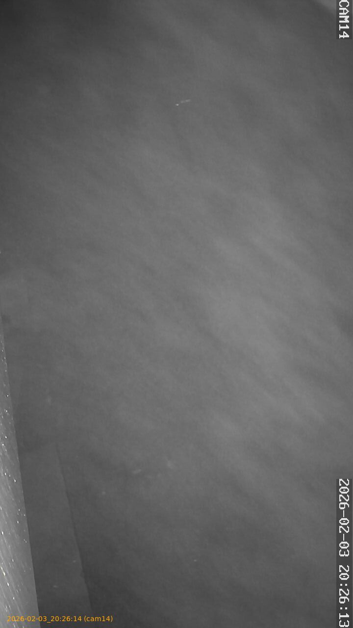 thumbnail_20260203202614