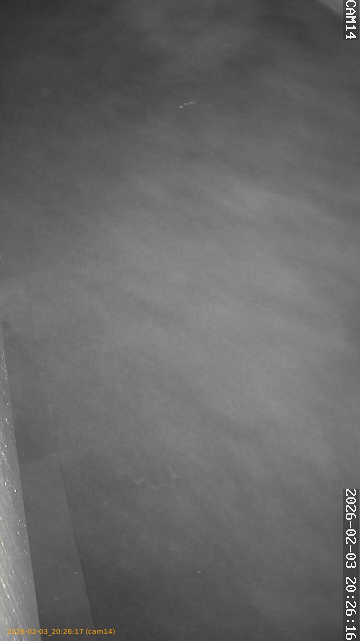 thumbnail_20260203202617